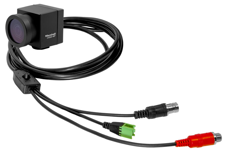 Marshall-CV503-WP-kabel