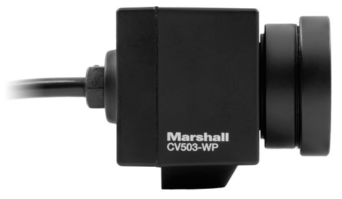 Marshall CV503-WP